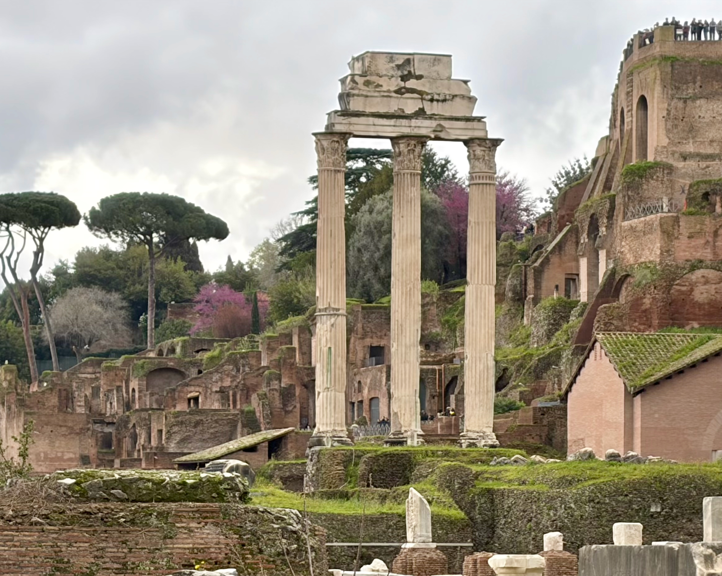 Temple of Castor and Pollux Forum Romanum